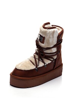 D.Franklin Ziemas puszābaki