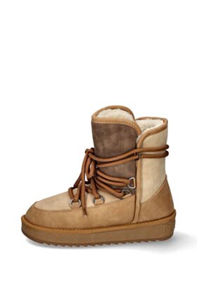 D.Franklin Ziemas puszābaki