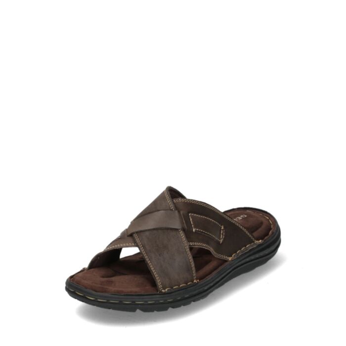 Gelingen Iešļūcenes